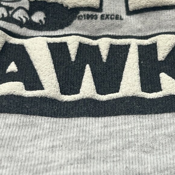 Vintage Holladay Hawks 1993 Jerzees Crewneck - Picture 3 of 7